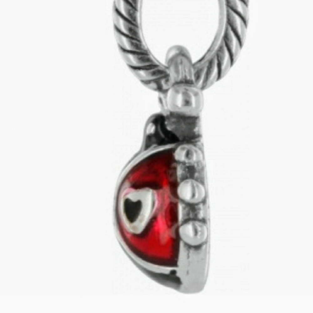 Brighton Ladybug 💐🌻 - Picture 2 of 3